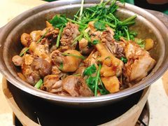 -芳村榕树头叹佬鸡煲(体育西店)