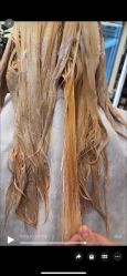 -WM Hair Salon