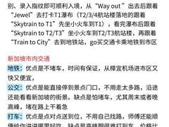 -圣淘沙天际线斜坡滑车