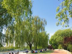 -大兴滨河森林公园