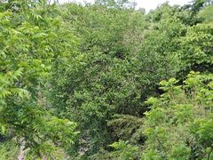 -会稽山峡洞漂流-上青古道