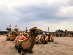 -镇北堡西部影城