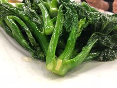 -渔鸽皇酒楼(鸿大广场店)