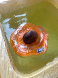 -新疆美月月子会所