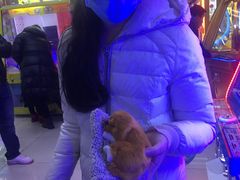 -风云再起游乐汇(北京西单西西友谊店)