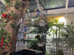 -丽江庭院之丽江往事(安定门店)