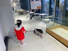 -怪兽屋·羊驼·猫咖·狗咖(俊华广场店)