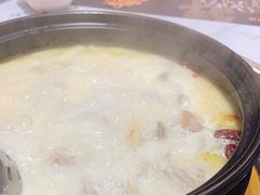 -顺德公猪肚鸡·椰子鸡(惠东天虹店)