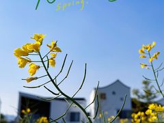 -东梓关景区村庄