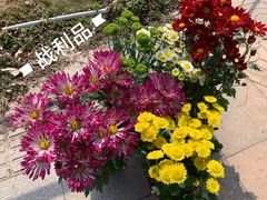 -福神岗公园
