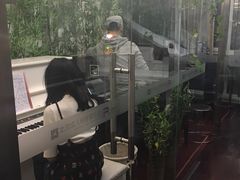-圣典成人钢琴俱乐部(国贸旗舰校区)