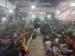 -中环花鸟鱼虫市场