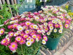 -瓦库茶馆17号(海汇港店)