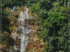 -鼎湖山风景区