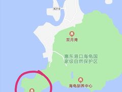 -广东惠东海龟国家级自然保护区