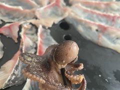 -丽江庭院之丽江往事(安定门店)