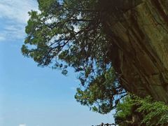 -少华山国家森林公园