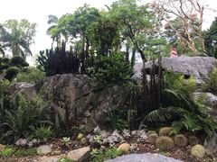 -东莞植物园
