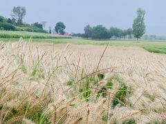 -汉长安城未央宫国家考古遗址公园