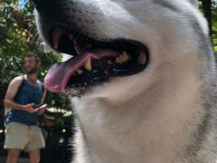 -TrueLove @ Neverland (Husky Cafe)