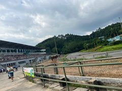 -深圳野生动物园