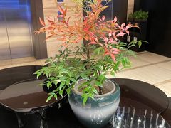 -天目湖涵田度假村