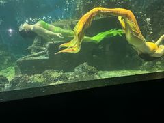 -嘉兴海底世界