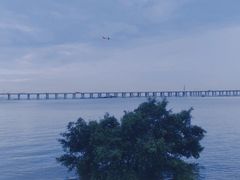 -宝安西湾红树林湿地公园