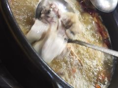 -濠轩阁特色生蚝火锅(水湾路店)