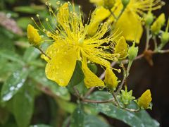 -奥特莱斯停车场