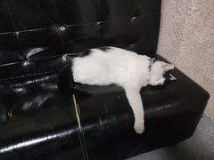 -CLUE演绎实景剧本杀(江南西店)