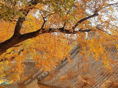 -潭柘寺景区