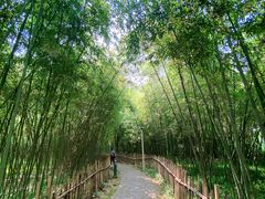 -新虹桥中心花园