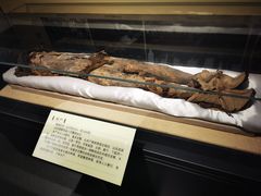 -巴音郭楞蒙古自治州博物馆