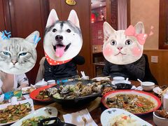-浩家苑菜馆(汉口路店)