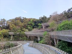 -福道