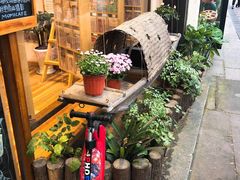 -猫的天空之城概念书店(杭州南宋御街店)