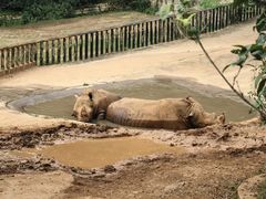 -泉州海丝野生动物世界