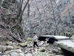 -五女峰国家森林公园