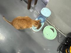 -蓝天射箭馆·专业射箭运动(诚丰广场店)