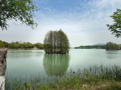-尚湖风景区