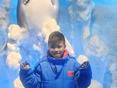 -海合安成都极地海洋公园