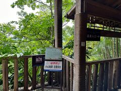 -荷花温泉