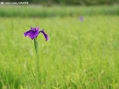 -坝光海滩