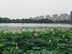 -南翔镇银翔湖公园