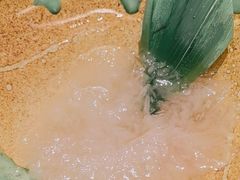 -耕海蟹将军(万象城店)