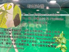 -上海大自然野生昆虫馆(东方明珠·爬宠昆虫探索中心)