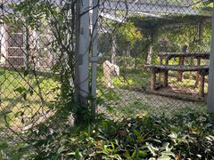 -合肥野生动物园
