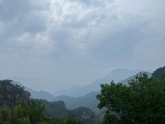 -大岭沟猕猴桃谷风景区