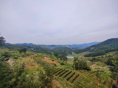 -乌石村